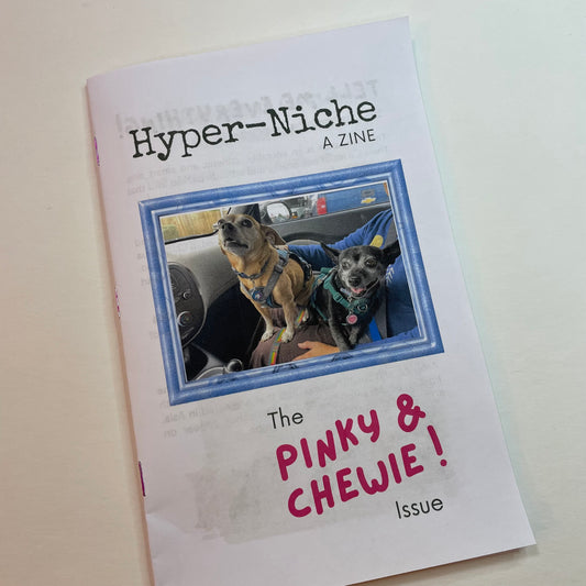 Zine - Hyper Niche Issue 1